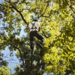ziplining-through-trees-adventure-park